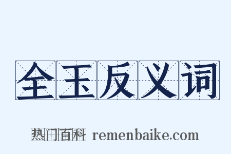 全玉反义词是什么意思的图片